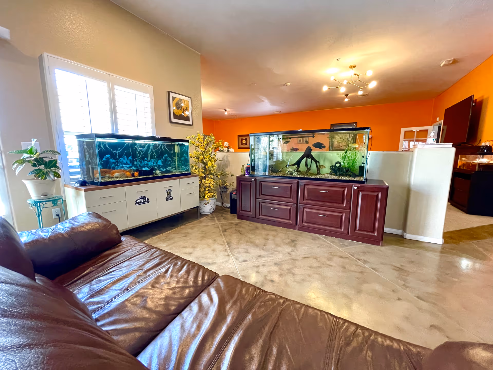 Interior view of a living room area in a senior living facility with two large fish tanks on cabinets, a brown leather couch in the foreground, a potted plant on a small stand, and bright orange walls in the background with ceiling lights.