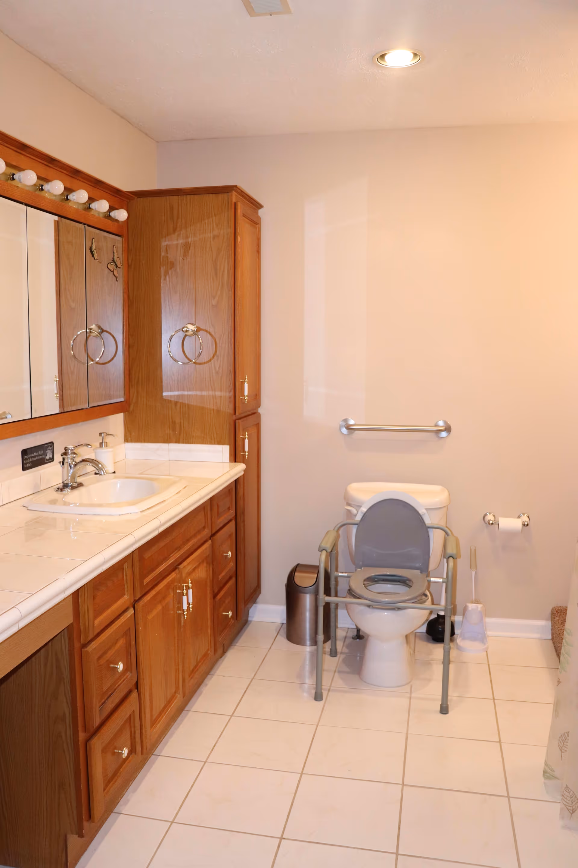 Bathroom with a wooden vanity and sink on the left and a toilet with an assistive frame and grab bar on the right.