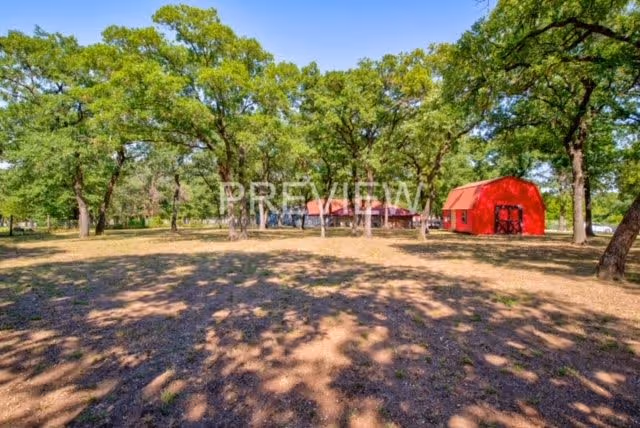 A spacious outdoor area with large green trees casting shadows on the ground. In the background, there is a red barn-like structure and a smaller building partially visible among the trees.