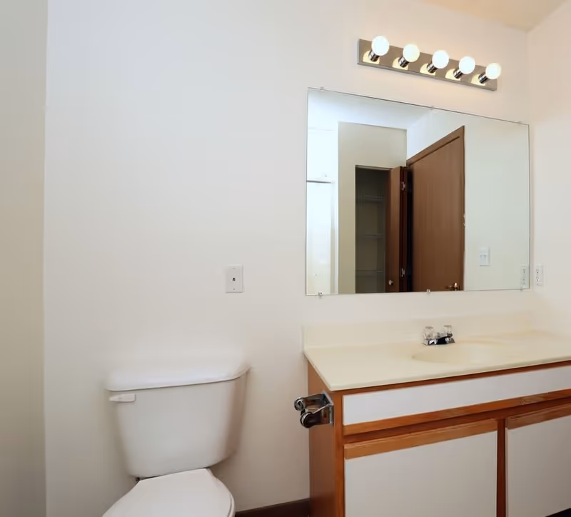 A bathroom with a white toilet and a vanity with a sink and countertop. Above the vanity is a large mirror with a light fixture containing five round bulbs. A wooden door is visible in the reflection of the mirror.