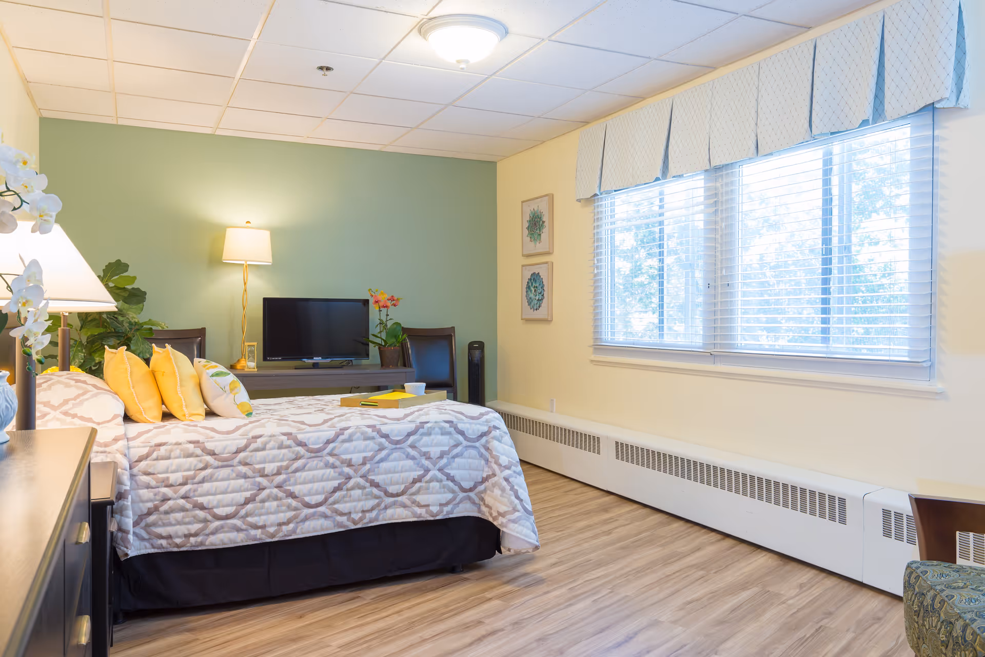 Bright furnished bedroom with a patterned bed, yellow accent pillows, a TV and lamp on a desk against a green accent wall, and a large window with blinds.