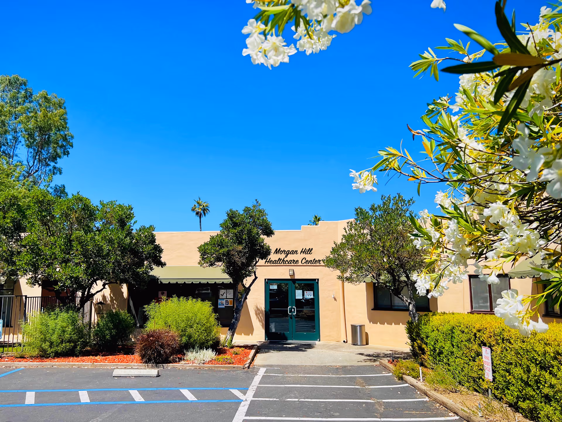 Front entrance of the Morgan Hill Healthcare Center building framed by trees and white flowering bushes under a clear blue sky.