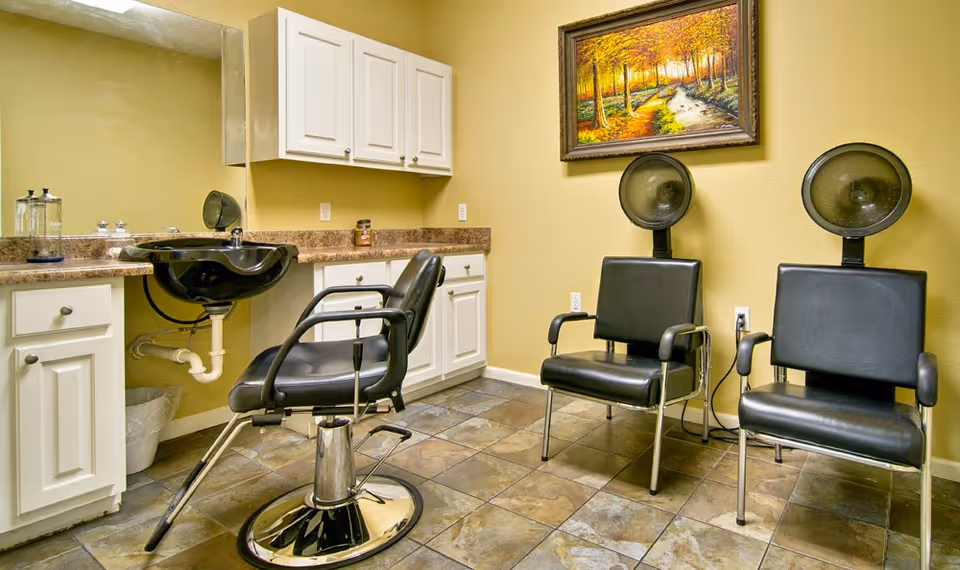 Small salon room with a styling chair, sink and countertop, and two hooded hair dryers beside cabinets and a framed painting.