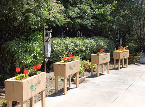 Outdoor garden area with four wooden planter boxes on legs, each containing red flowers. The planters are arranged in a row along a paved pathway, with green bushes and trees in the background.