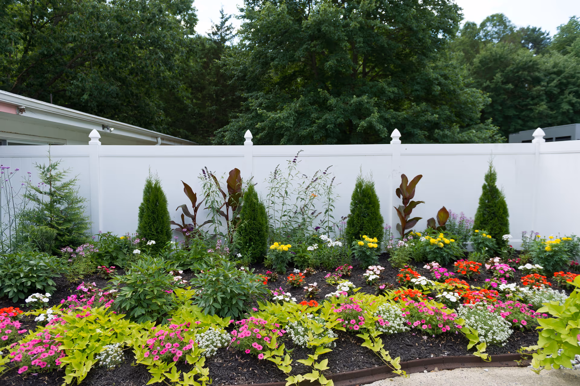 A colorful garden bed with various flowering plants and small shrubs in front of a white fence, with tall green trees in the background.