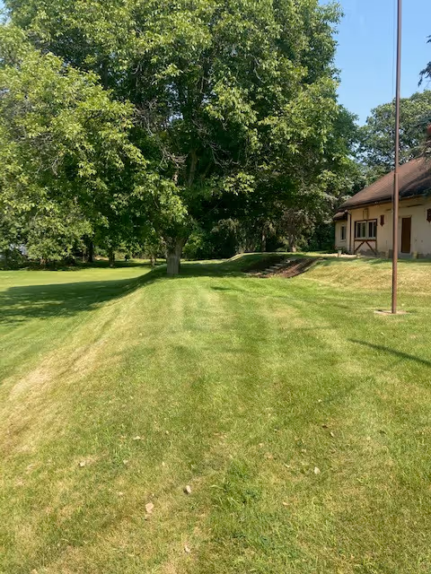 A well-maintained grassy lawn with a large leafy tree in the center and a building with a brown roof on the right side under a clear blue sky.