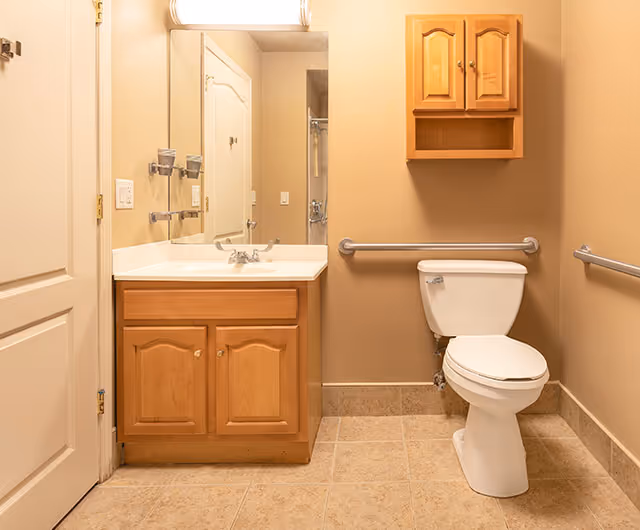 Clean bathroom featuring a sink vanity with mirror, wooden cabinets, grab bars, and a toilet.