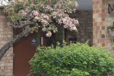 Exterior entrance of a brick building with a flowering tree and green shrubs.