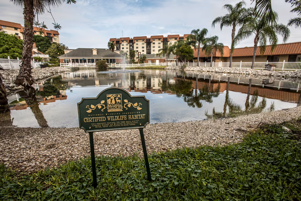 A serene outdoor pond area with a sign in the foreground that reads 'Certified Wildlife Habitat' by the National Wildlife Federation. The pond is surrounded by rocks, grass, palm trees, and buildings in the background reflecting in the water.
