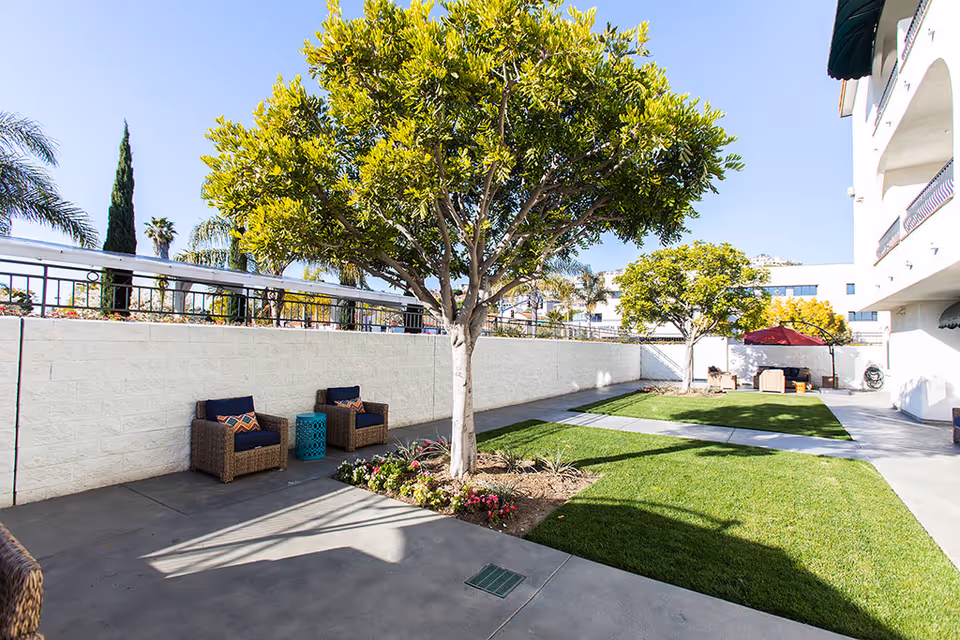 Sunny outdoor courtyard with trees, a lawn, paved walkways and patio seating.