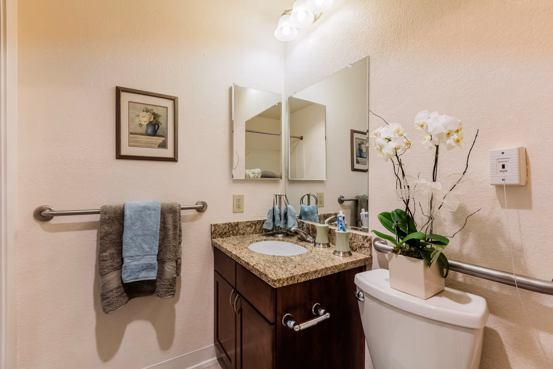 A bathroom with a granite countertop vanity featuring a sink, a mirror above it, and a small potted orchid plant placed on the toilet tank. There are two towels hanging on a metal towel bar on the wall, a framed floral picture, and a wall-mounted device with a pull cord.
