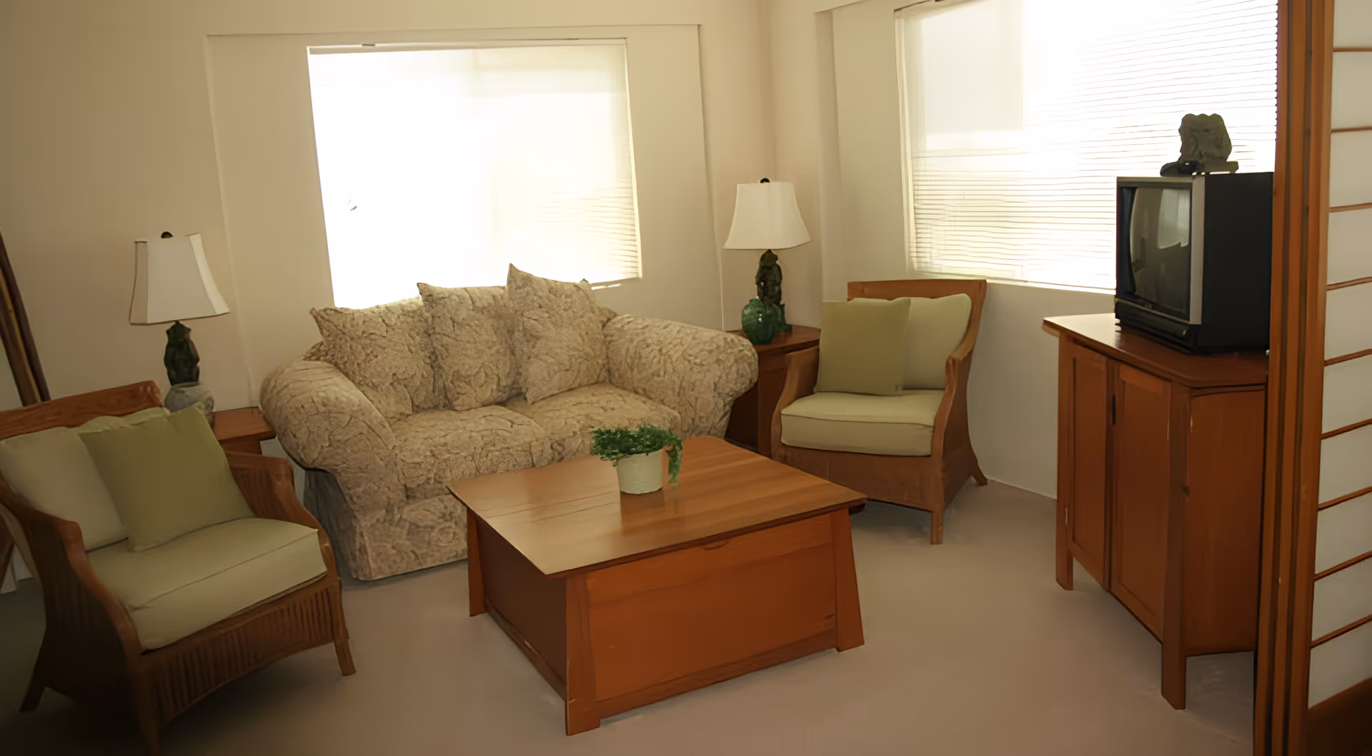 Sunlit living room with a patterned sofa, two armchairs, a wooden coffee table and a TV on a cabinet.