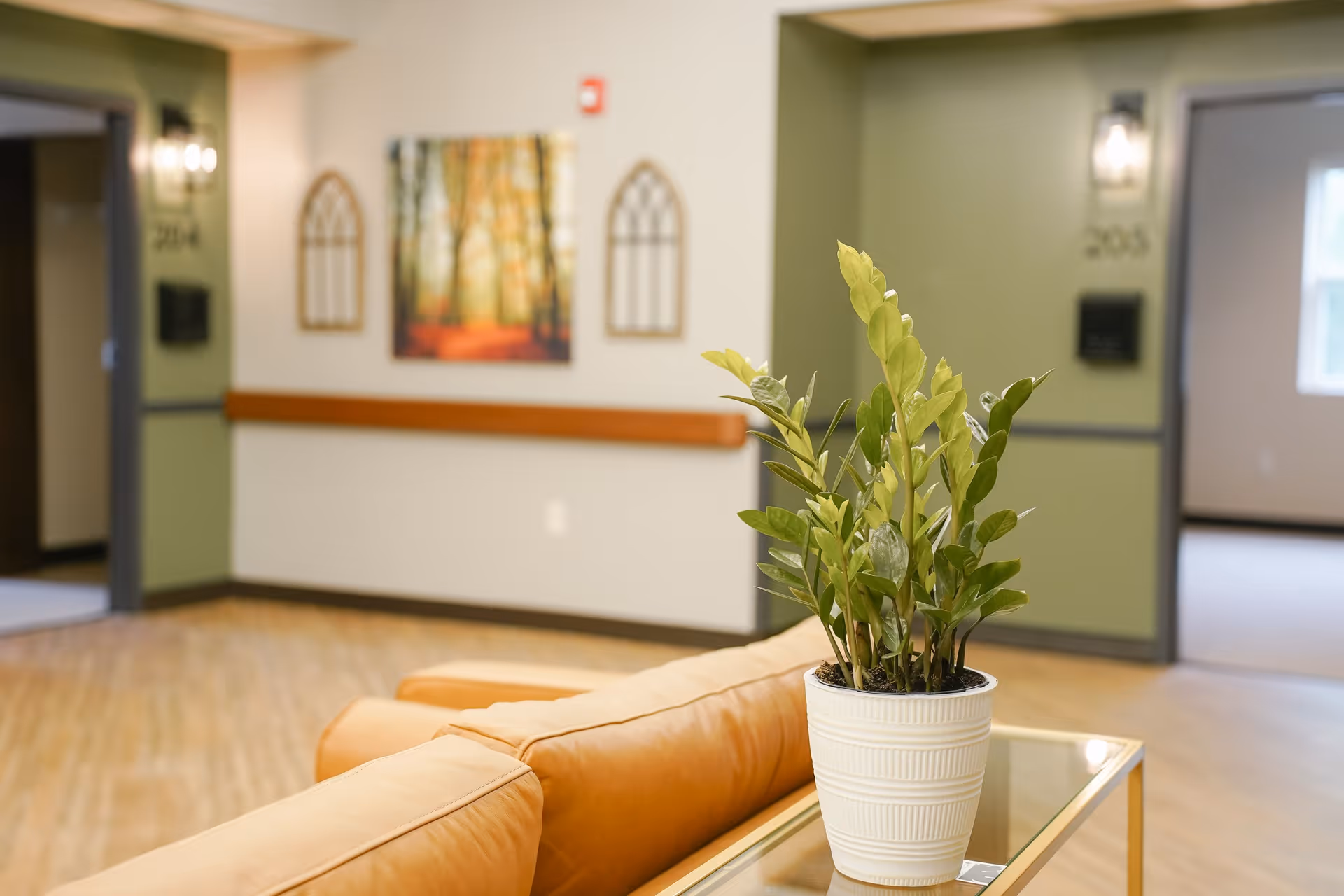 Potted plant on a glass side table behind a tan couch in a bright senior living facility common area with a hallway and room numbers visible.