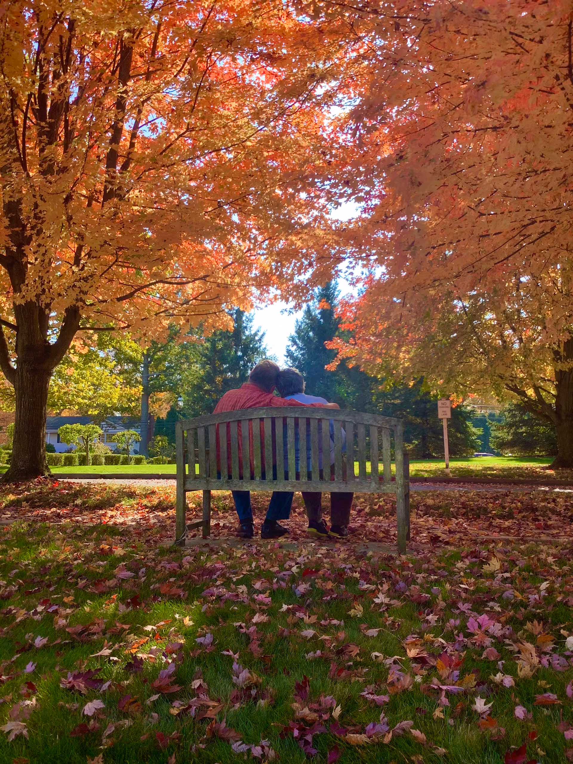 Two people sitting closely together on a wooden bench under trees with vibrant autumn foliage. Fallen leaves cover the grass around them, and a bright sky is visible through the branches.
