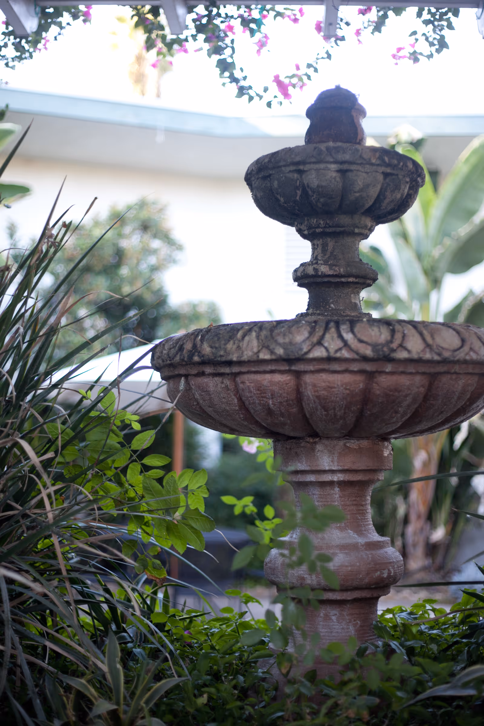 A stone garden fountain surrounded by green plants and foliage with a building and trees in the background.