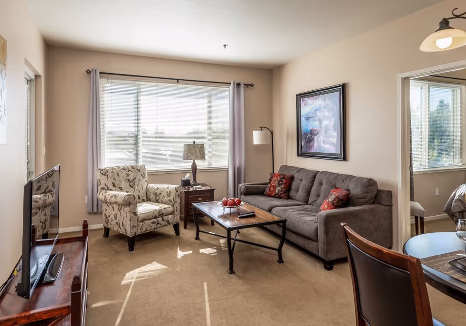 Sunlit living room with a gray sofa, patterned armchair, coffee table, TV, and a large window with blinds.