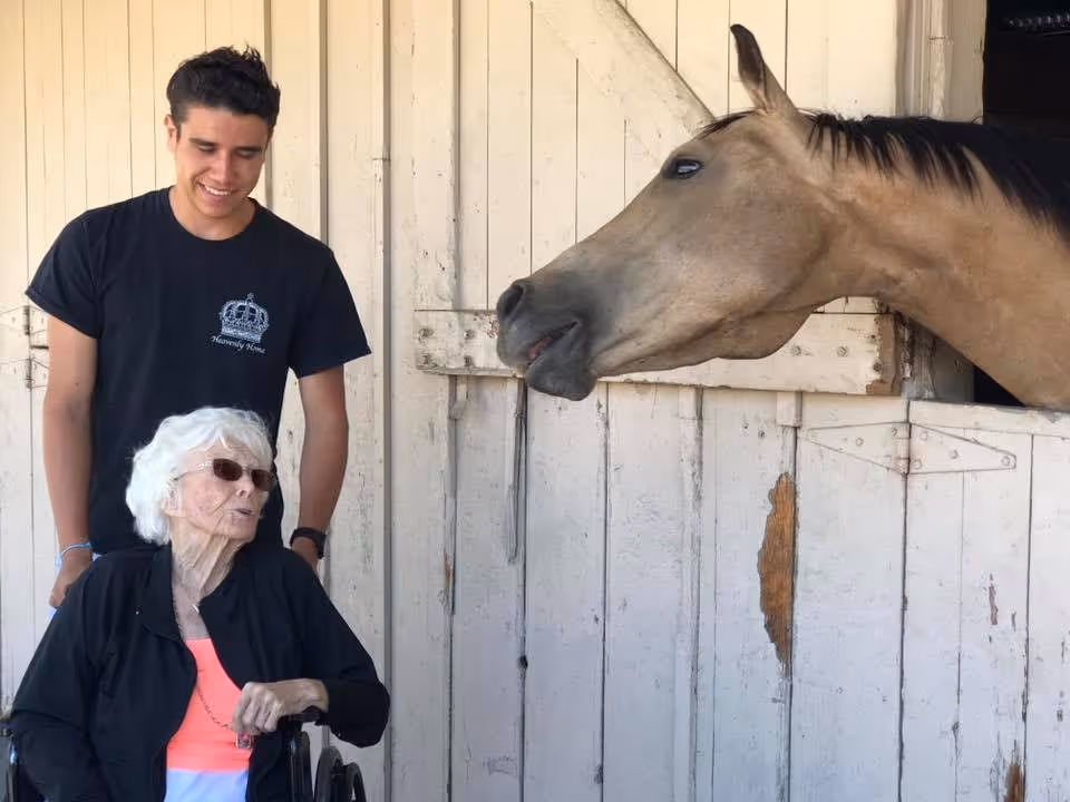 An elderly woman in a wheelchair wearing sunglasses and a black jacket is accompanied by a young man in a black t-shirt with a crown logo. They are outside near a white wooden stable door where a horse is looking out and facing them.