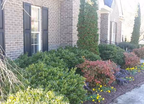 Brick exterior of a senior living facility with manicured shrubs and flowers along a walkway.