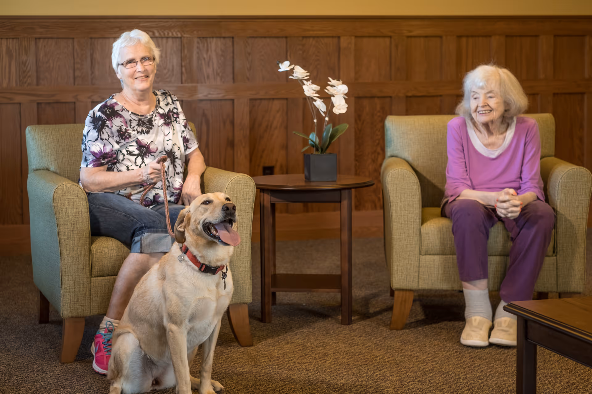 Two elderly women sitting in armchairs in a cozy room with wood-paneled walls. One woman is holding a leash attached to a happy yellow Labrador dog sitting in front of her. A small round table with a white orchid plant is placed between the chairs.