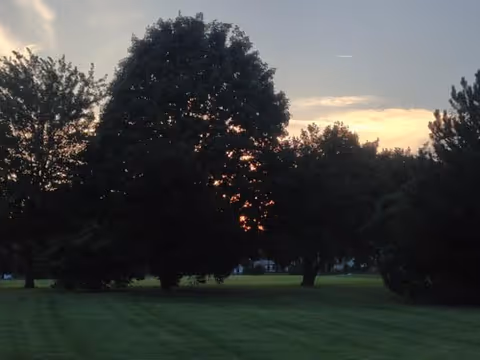A grassy outdoor area with several large trees silhouetted against a sunset sky with some clouds.