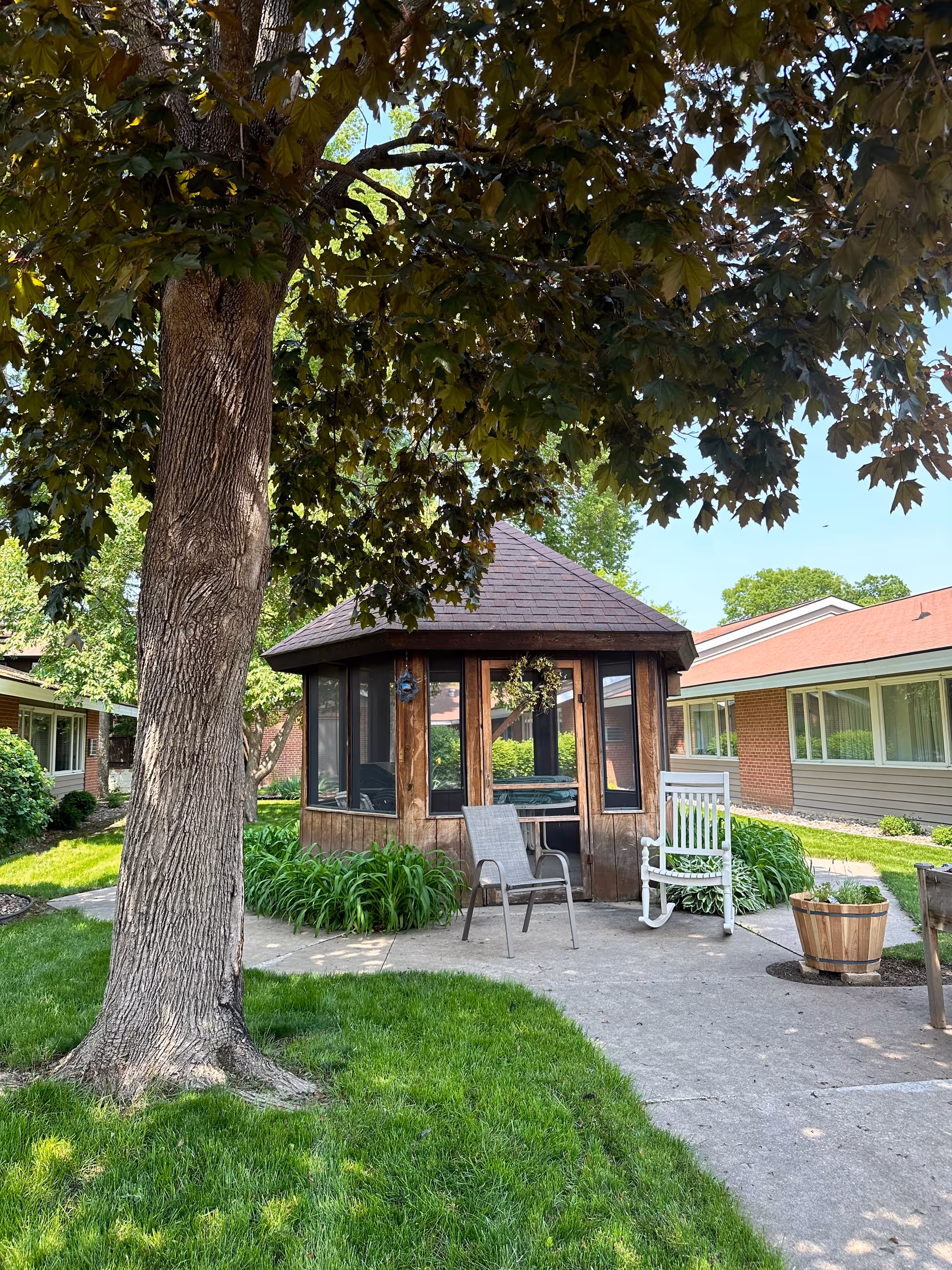 A shaded outdoor area at Cass Street Assisted Living featuring a large tree with dense green leaves, a wooden gazebo with screened windows, two chairs including a white rocking chair and a metal chair, a wooden planter, and surrounding green grass and bushes. The background shows single-story buildings with large windows under a clear blue sky.