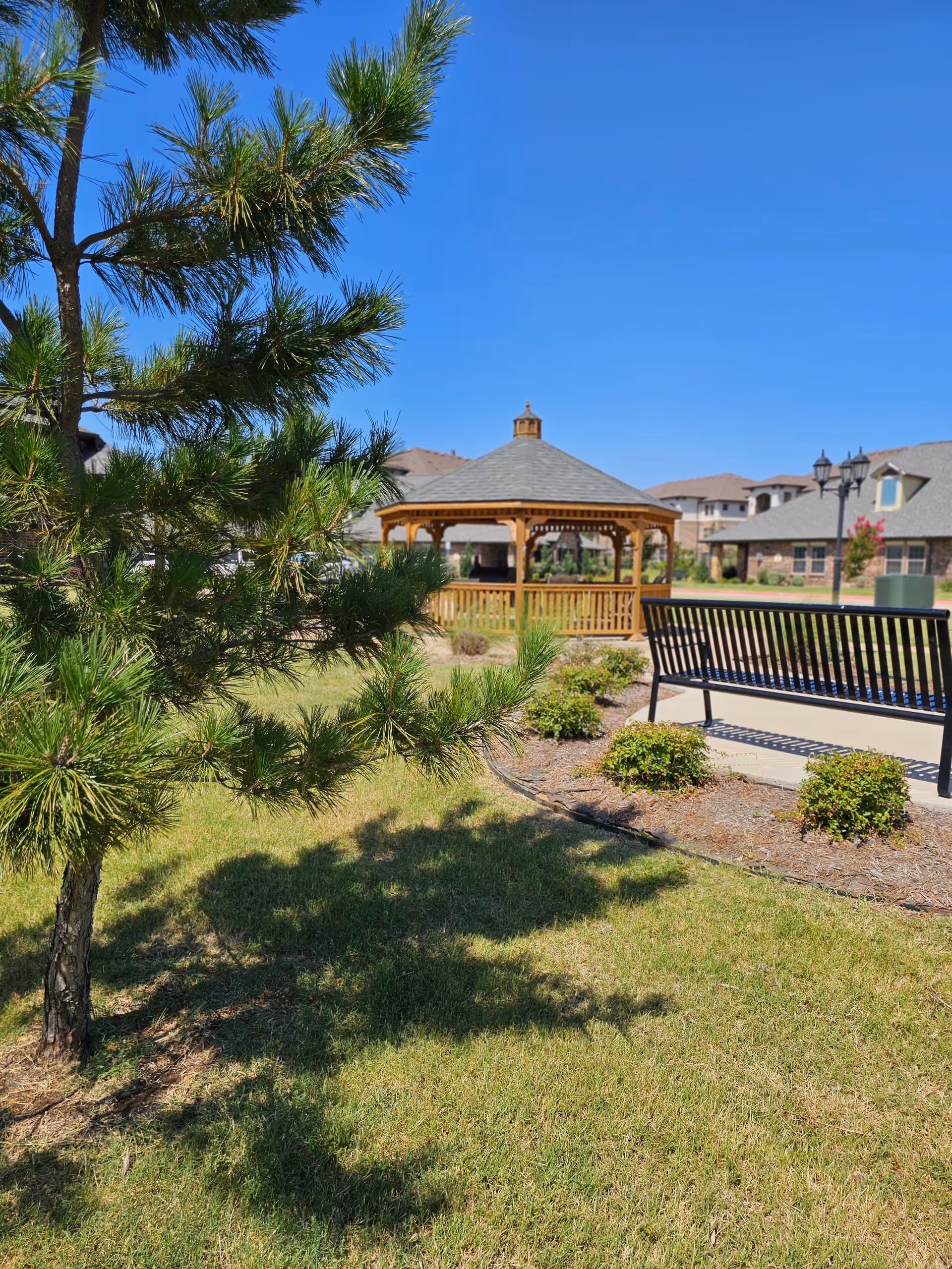 A sunny outdoor garden area with a green pine tree in the foreground, a wooden gazebo in the middle, a black metal bench on a concrete path, and residential buildings in the background under a clear blue sky.