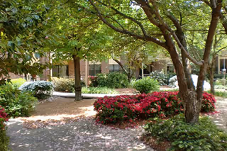 Shaded courtyard garden with trees, flowering shrubs, and walkways in front of a brick building.