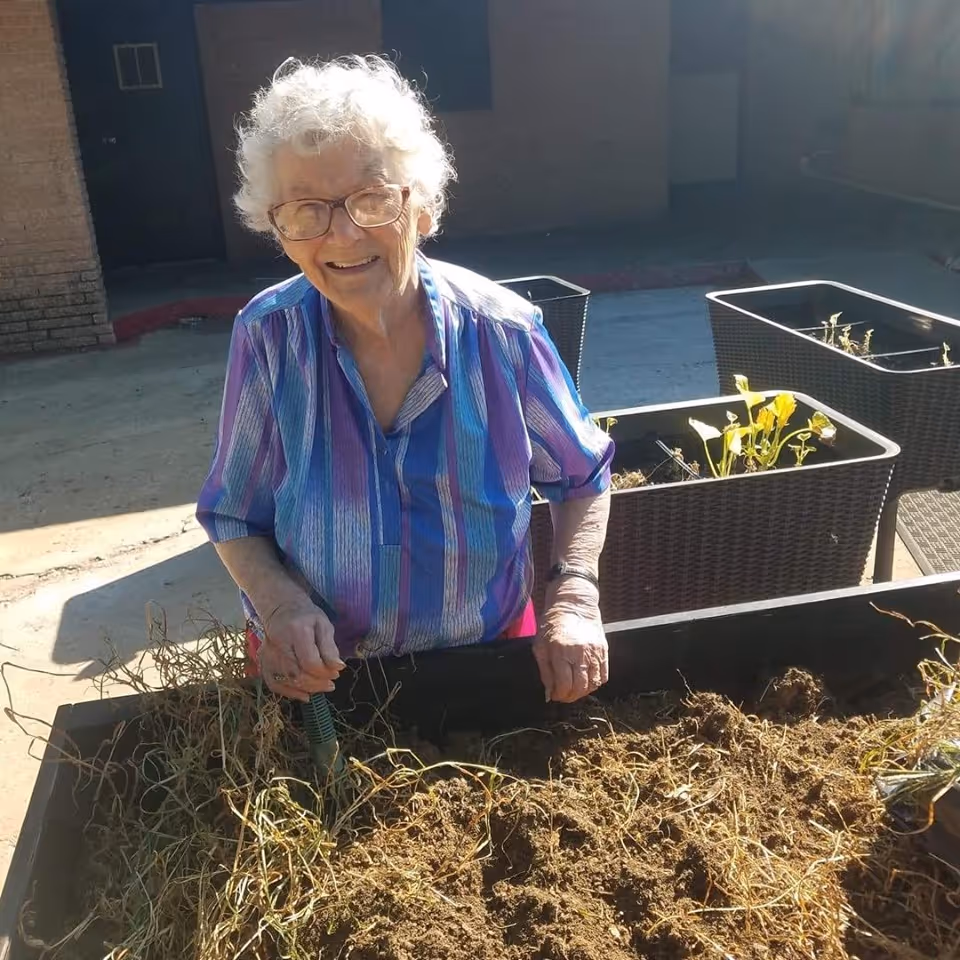 An elderly woman with white curly hair and glasses is smiling while gardening outdoors. She is wearing a blue and purple striped shirt and is standing behind a raised garden bed filled with soil and dried plants. There are additional raised garden beds in the background.