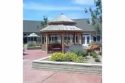 Outdoor courtyard area featuring a wooden gazebo surrounded by landscaped plants and shrubs, with a building in the background under a clear blue sky.
