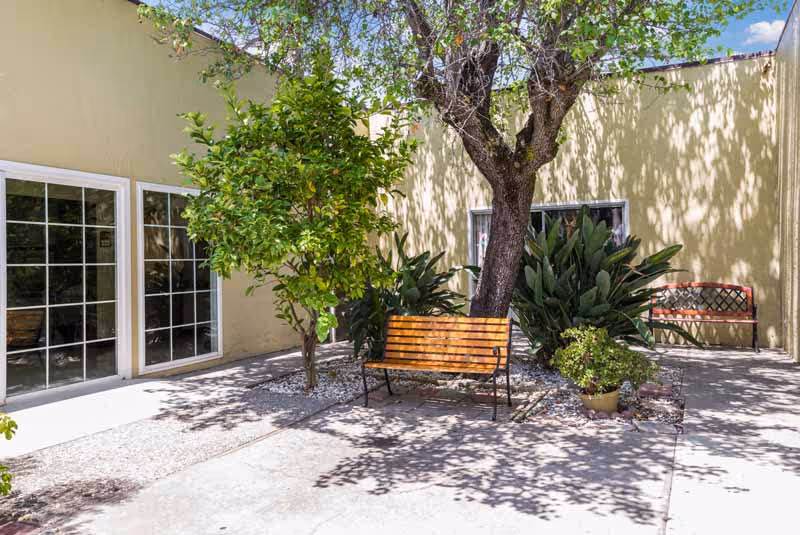 Outdoor courtyard area with two wooden benches, a large tree, smaller plants, and a beige building with large windows in the background under a clear blue sky.