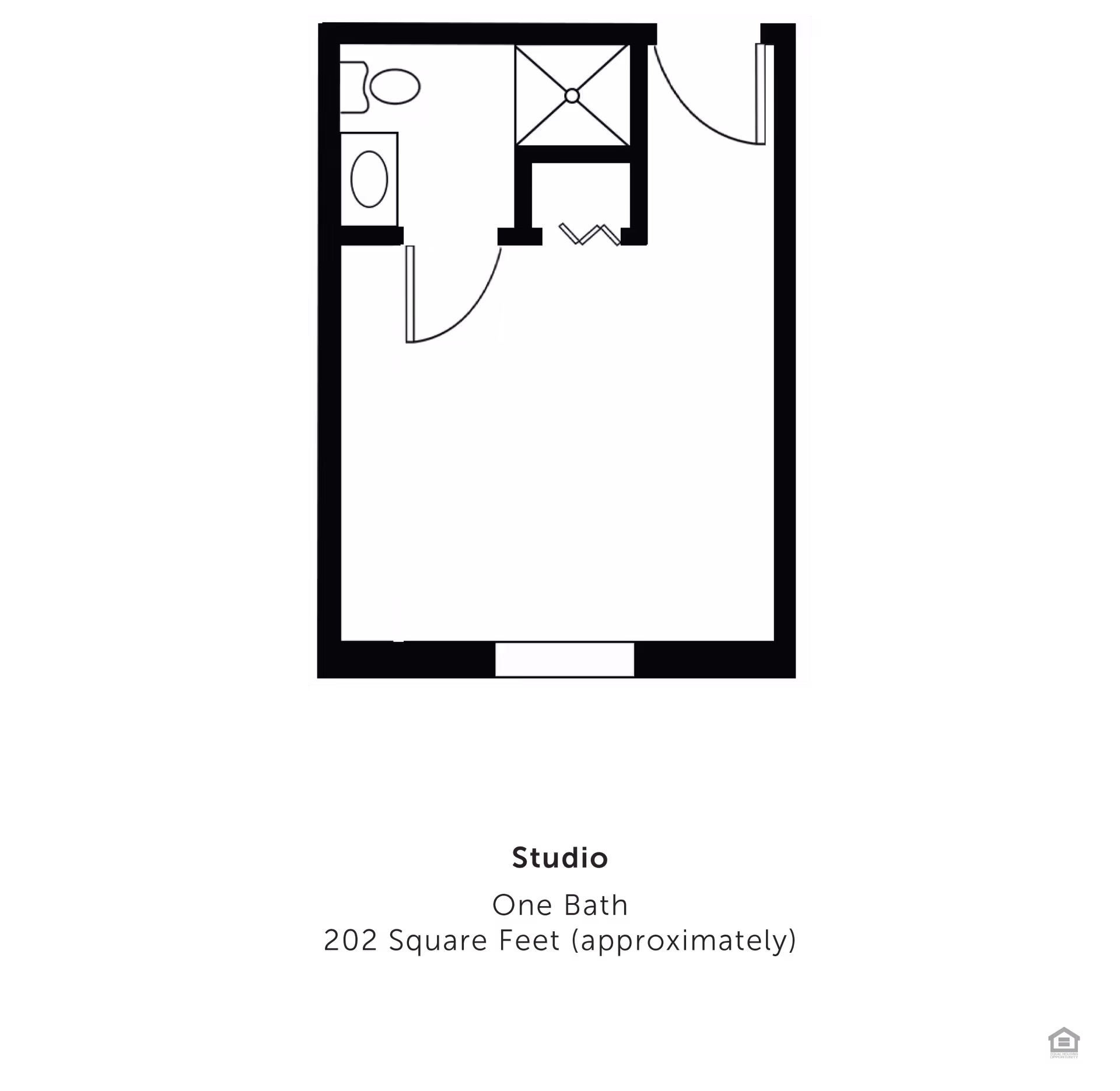 Floor plan of a studio apartment with one bathroom, approximately 202 square feet. The layout includes a bathroom with a toilet and sink, a shower, and an open living/sleeping area.