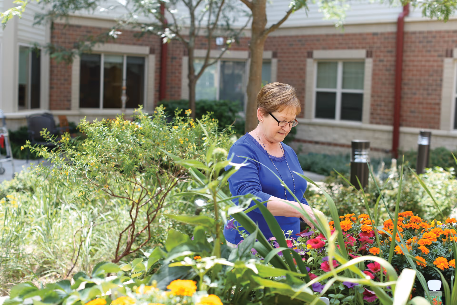 A woman wearing glasses and a blue shirt tending to colorful flowers in a garden area outside a brick building with windows.