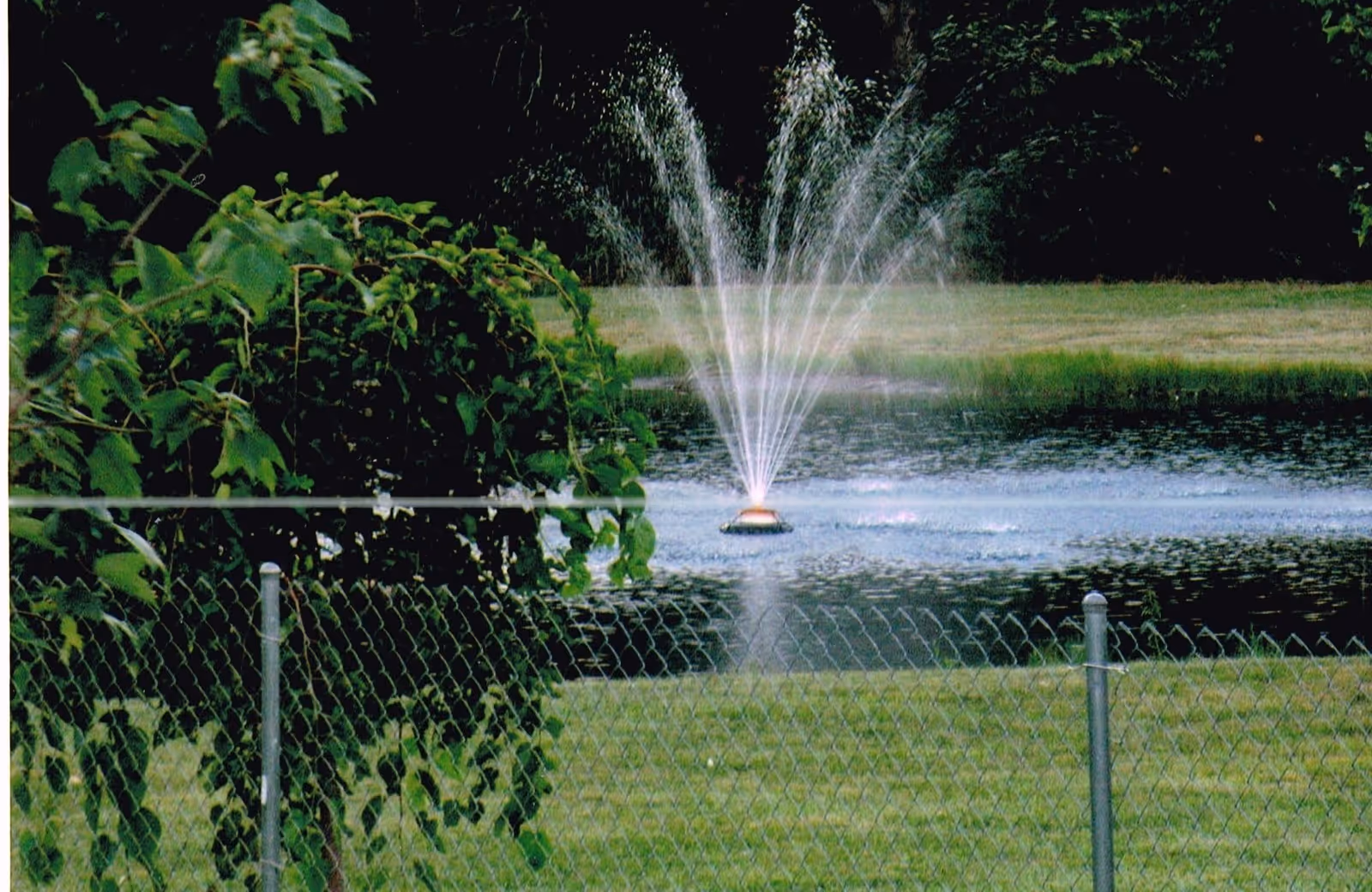 A water fountain spraying water in a pond surrounded by grass and trees, with a chain-link fence in the foreground.