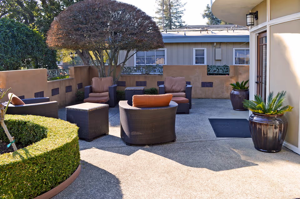Outdoor patio area with cushioned wicker chairs and a small table arranged around a tree with a rounded canopy. The patio is enclosed by a low wall and features potted plants and trimmed hedges. A building entrance with glass doors is visible on the right side.