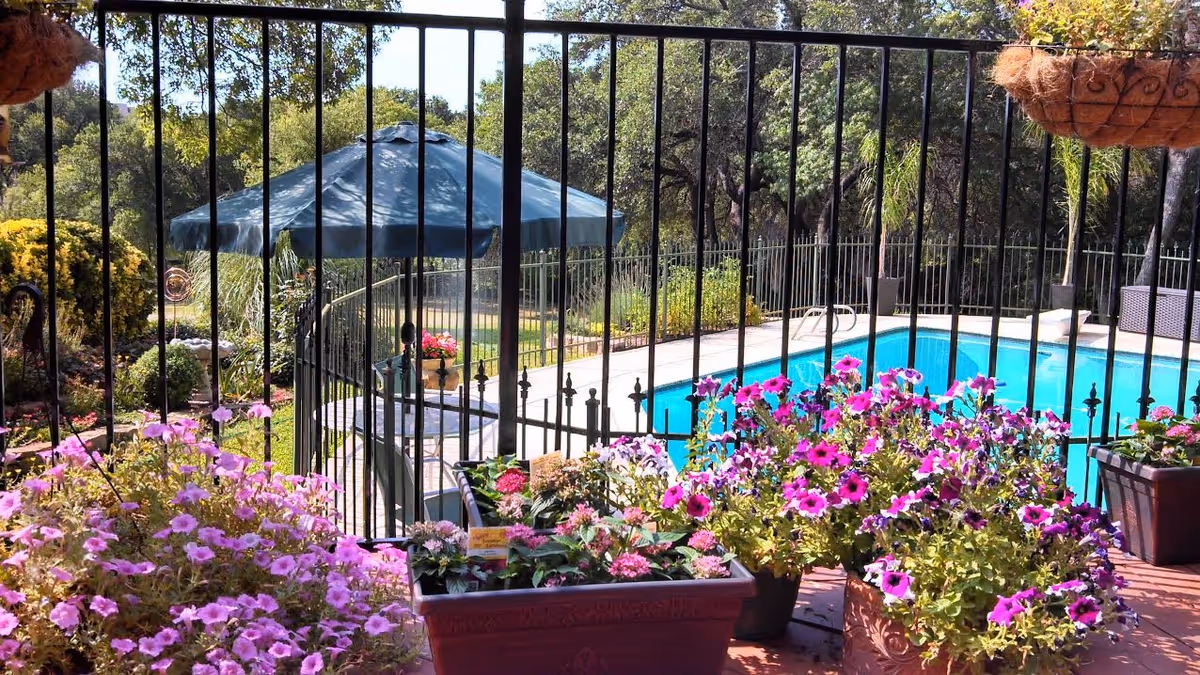 View of a fenced outdoor pool area with a blue umbrella, surrounded by lush greenery and vibrant pink and purple flowers in planters.