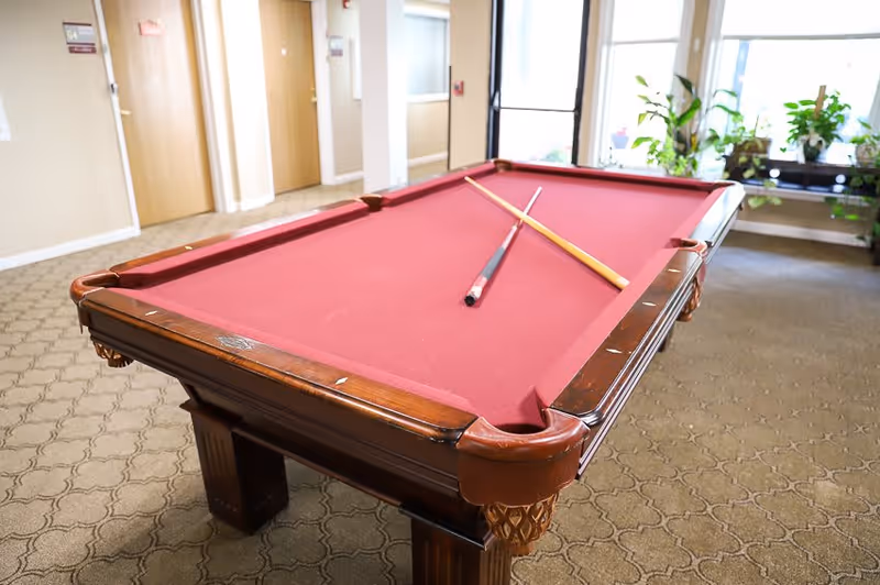 A pool table with a red felt surface and two pool cues crossed on top, situated in a carpeted room with beige walls, wooden doors, and large windows with potted plants on a bench by the window.