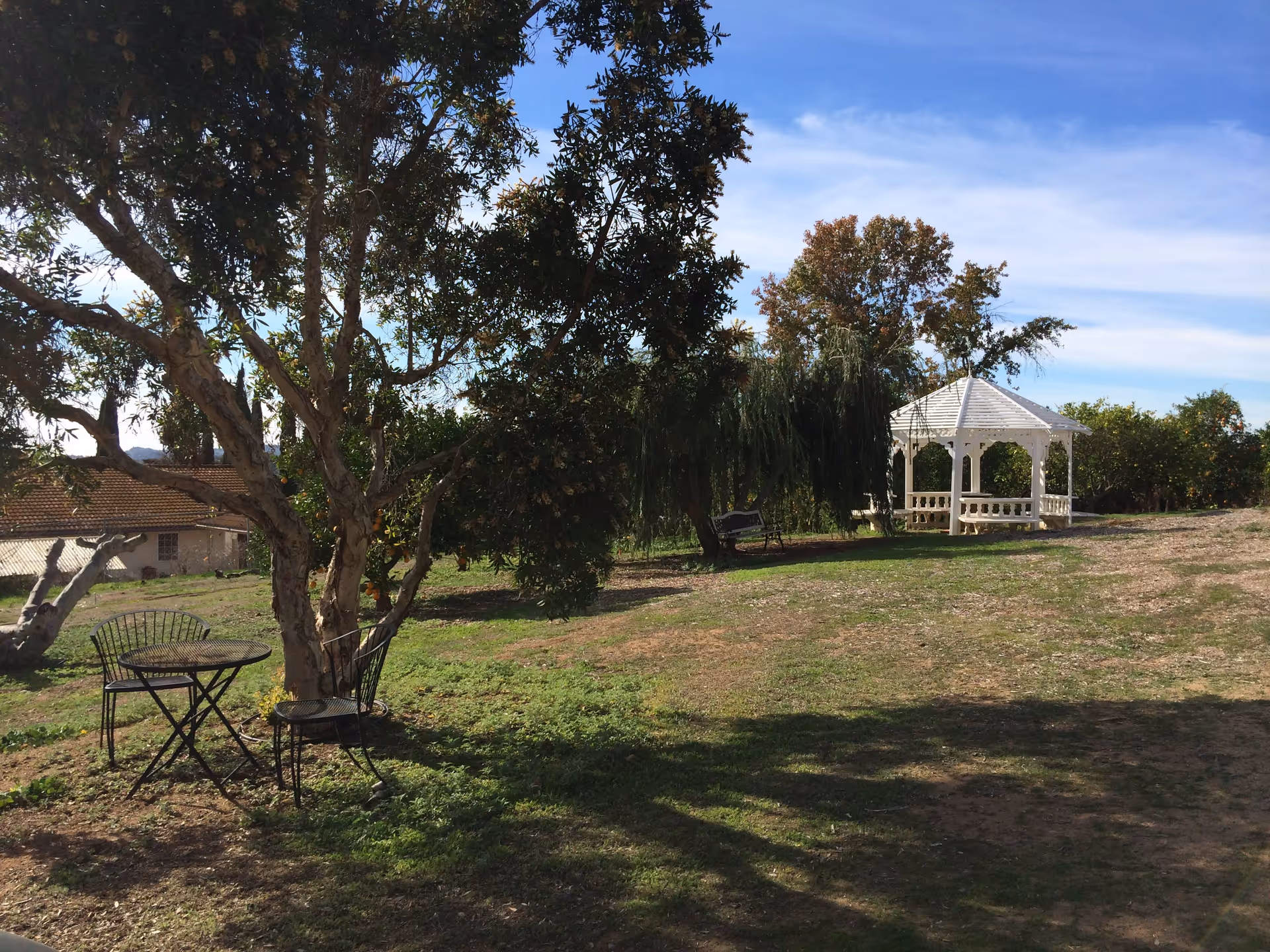 Outdoor garden area with a large tree providing shade over a small metal table and two chairs. In the background, there is a white gazebo surrounded by greenery and trees under a blue sky with light clouds.