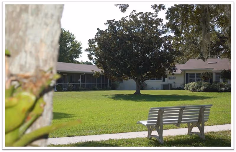 White outdoor bench on a walkway overlooking a lawn and tree with the front of a low single-story senior living building in the background.