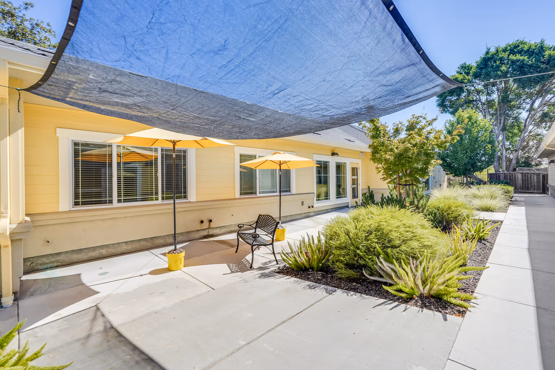 Sunlit outdoor courtyard with patio umbrellas, a bench, shade sail and landscaped walkway beside a yellow building.