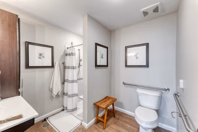 A clean and accessible bathroom with a white toilet, wooden stool, and a shower area with a white and gray striped curtain. The walls are light gray with two framed floral artworks. There are grab bars installed near the toilet and in the shower area, and a white towel hangs on a hook near the shower.