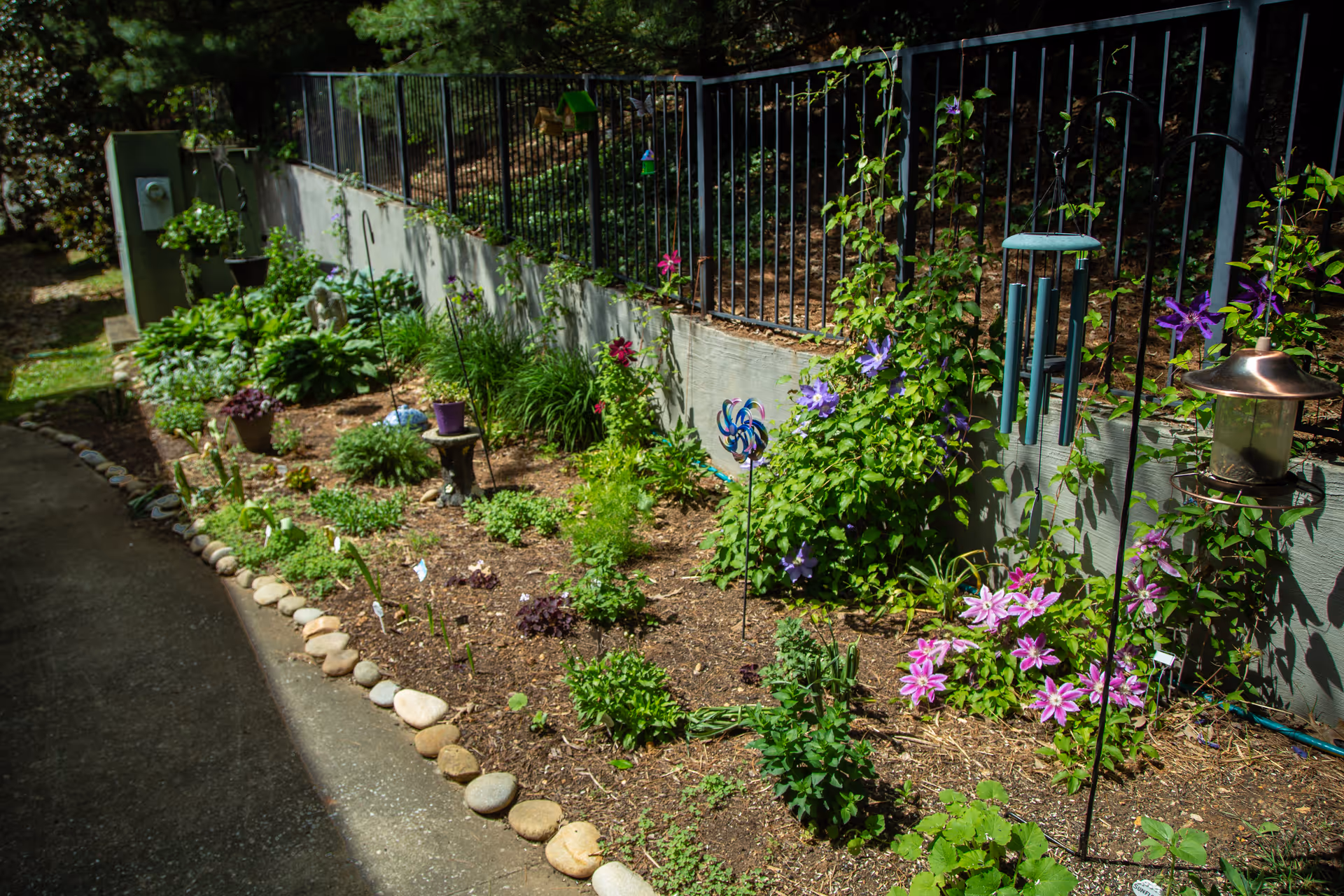 A garden bed alongside a paved path, featuring various green plants and blooming purple and pink flowers. The garden is bordered by a row of stones and a concrete retaining wall with a black metal fence on top. Decorative garden items such as a wind spinner, wind chimes, and a lantern are hanging on metal stakes within the garden.