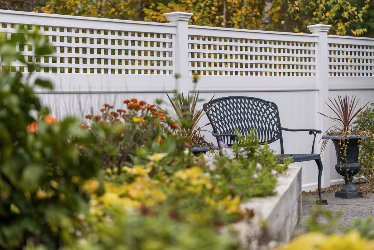 A black metal bench sits in a garden area with various plants and flowers in the foreground. Behind the bench is a white lattice fence with greenery visible beyond it.