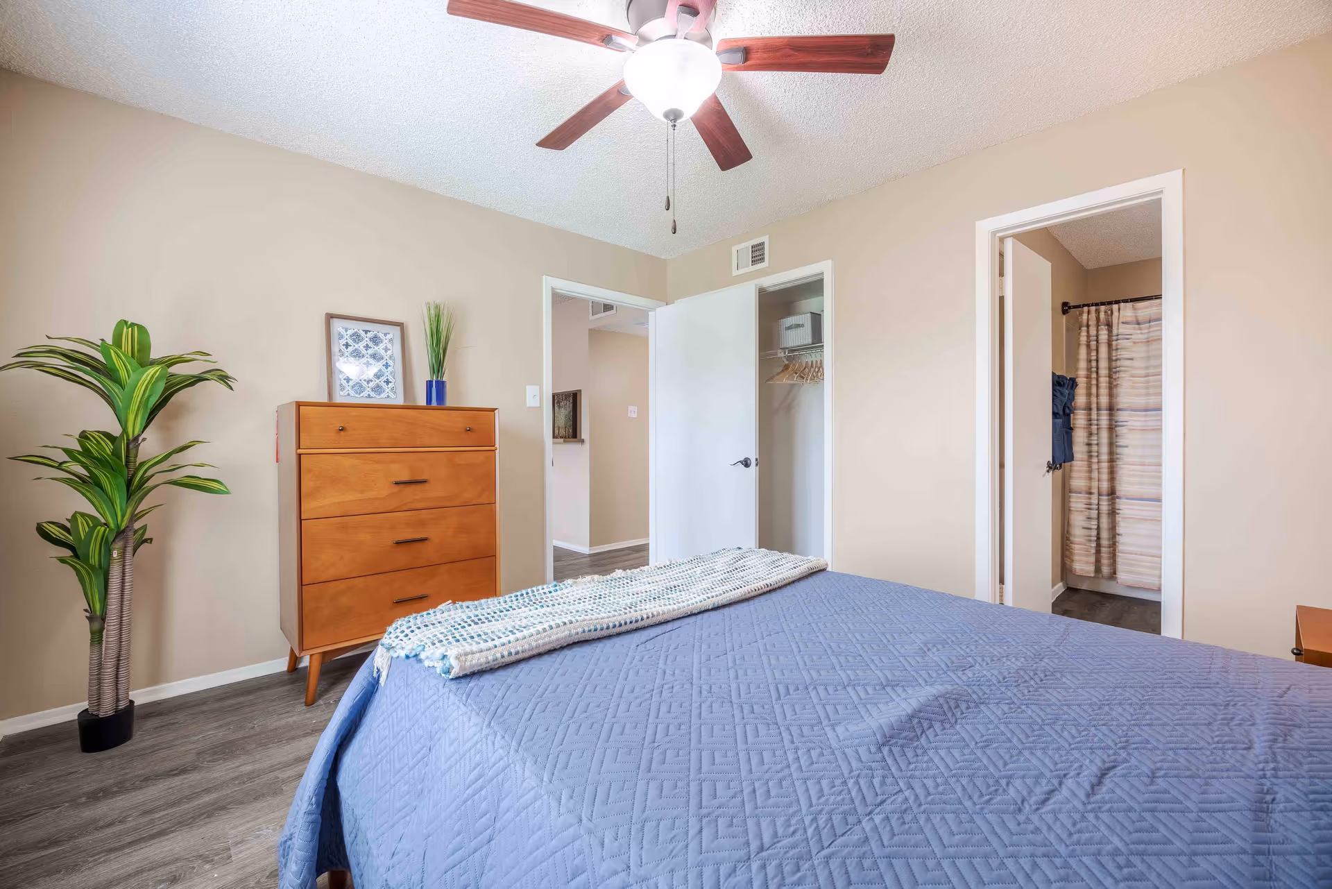 A bedroom with a blue quilted bedspread and a folded blanket at the foot of the bed. There is a wooden dresser with three drawers against a beige wall, decorated with a framed picture and a blue vase with tall grass. A potted plant is placed on the floor to the left of the dresser. The room has a ceiling fan with wooden blades and a light fixture. Two open doors are visible, one leading to a closet with hangers and a storage basket, and the other leading to a bathroom with a shower curtain.