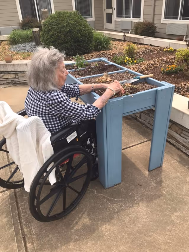 An elderly woman in a wheelchair is tending to a raised garden bed outdoors. She is wearing a black and white checkered shirt and has a white blanket draped over the back of her wheelchair. The garden bed is painted blue and contains soil and some plants. The background shows a building with windows and some landscaping with bushes and flowers.