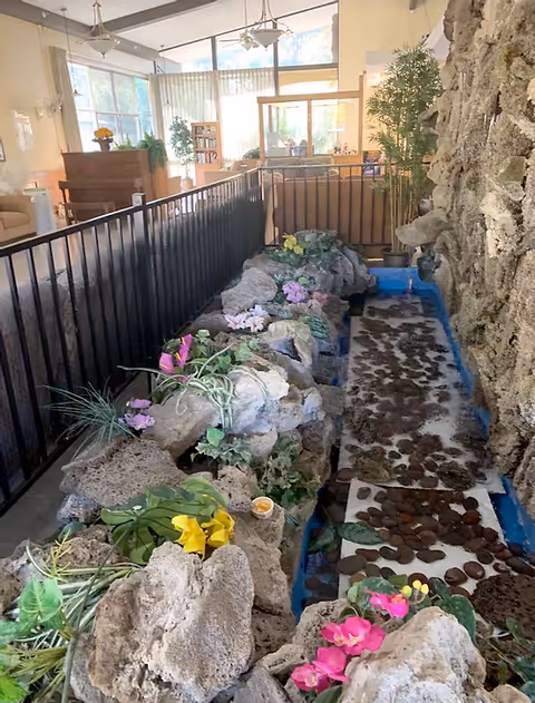 Indoor garden area with rocks, artificial flowers, and plants surrounded by a black metal railing. In the background, there is a piano, bookshelves, large windows letting in natural light, and a seating area with chairs and tables.