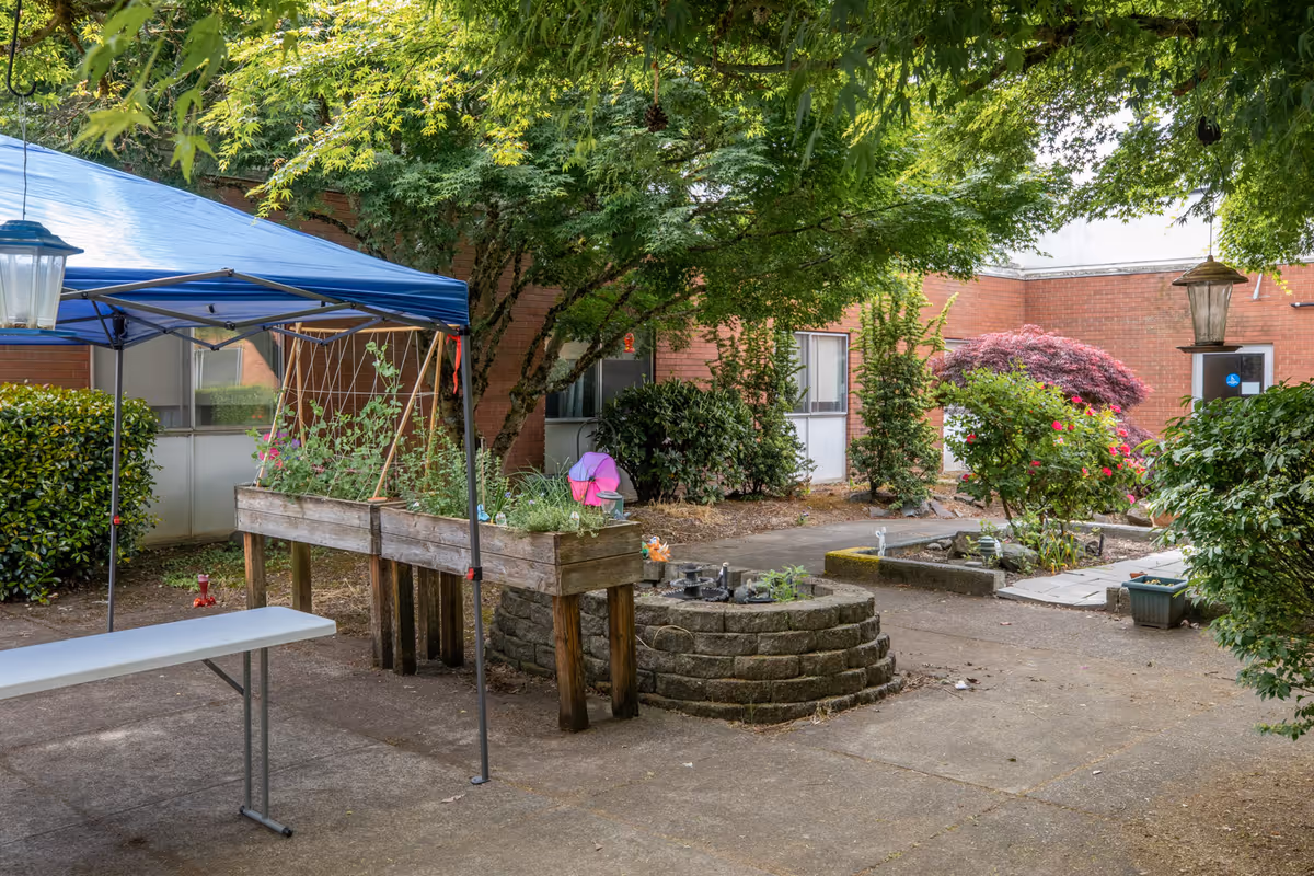Outdoor courtyard area with raised garden beds, a blue canopy tent, a white folding table, various plants and shrubs, and a brick building in the background.