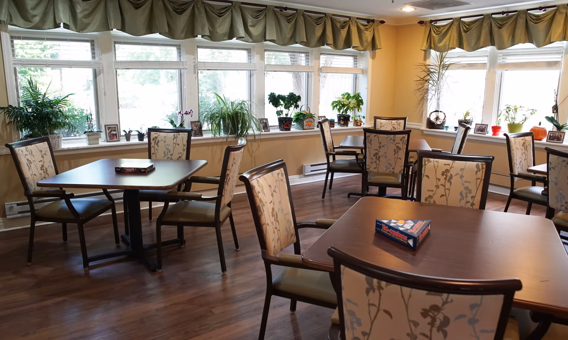 Sunlit dining room with wooden tables, patterned upholstered chairs, and plants on a row of windowsills.