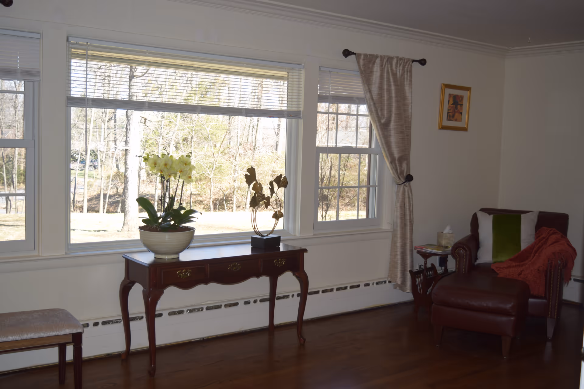 Sunlit living room with large windows, a wooden console table holding plants, and a leather armchair with an ottoman.