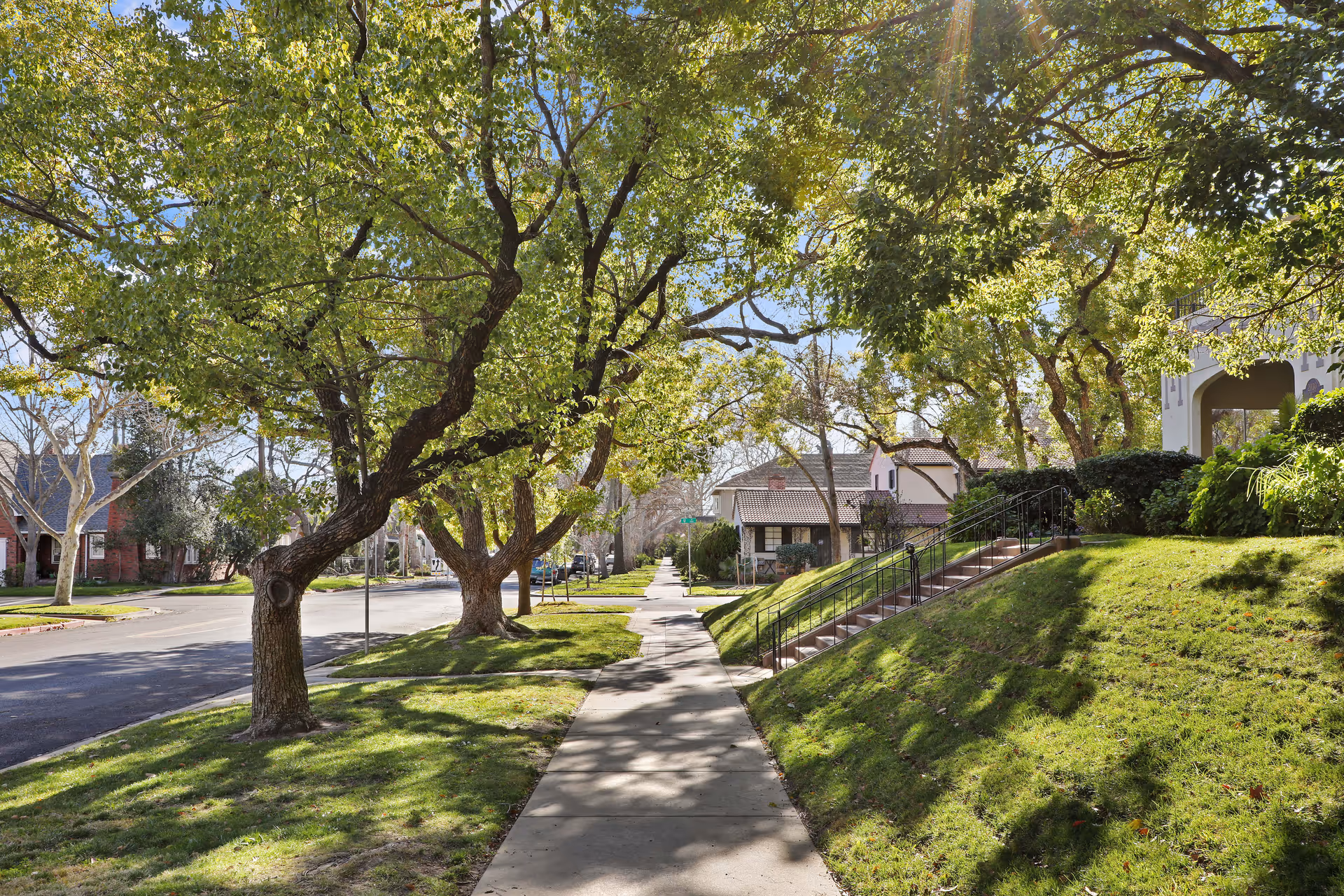 A sunny residential street lined with large leafy trees casting shadows on the sidewalk and grassy areas. Houses with front yards and steps leading up to porches are visible along the right side of the street.