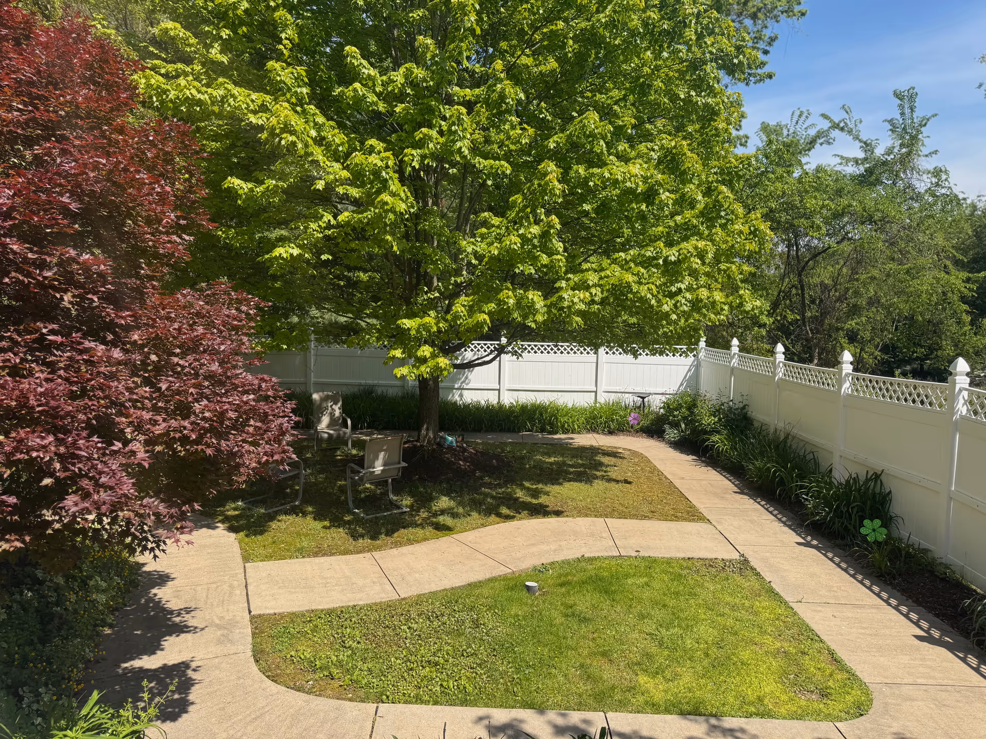 A sunny outdoor garden area with a curved concrete walkway surrounding a grassy patch. There are green and red leafy trees providing shade, a white privacy fence enclosing the space, and a few chairs placed under the trees.